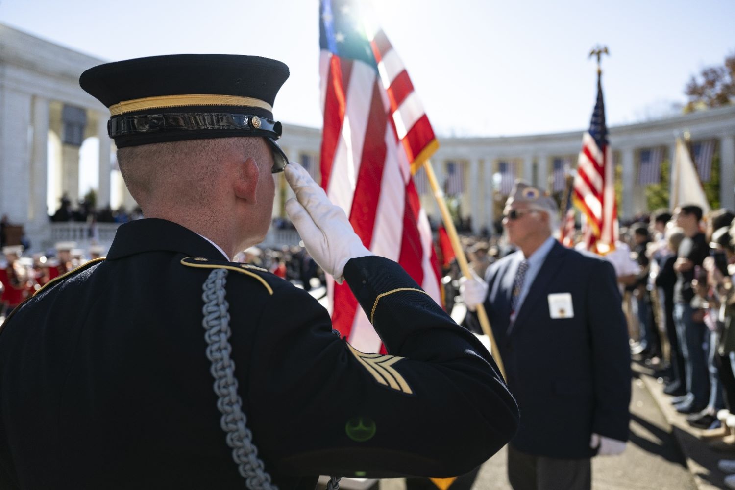 visitors gathered at Arlington National Cemetery in Arlington, Virginia, to participate in the 71st National Veterans Day Observance