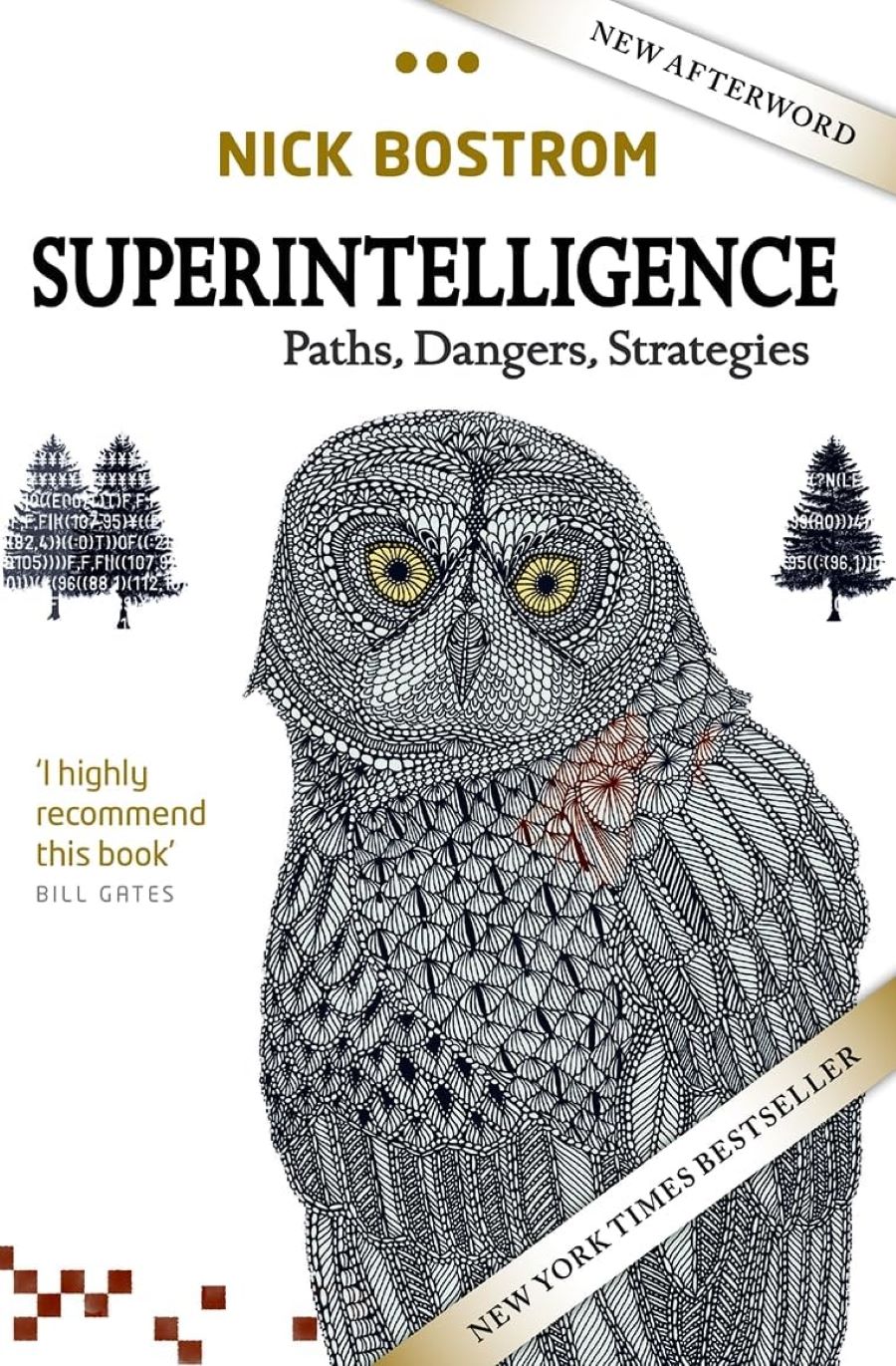 Superintelligence Paths, Dangers, Strategies