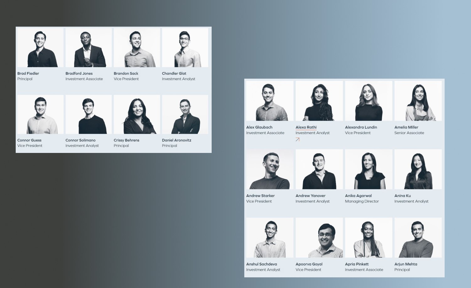 investment team and operation team at Insight Partners