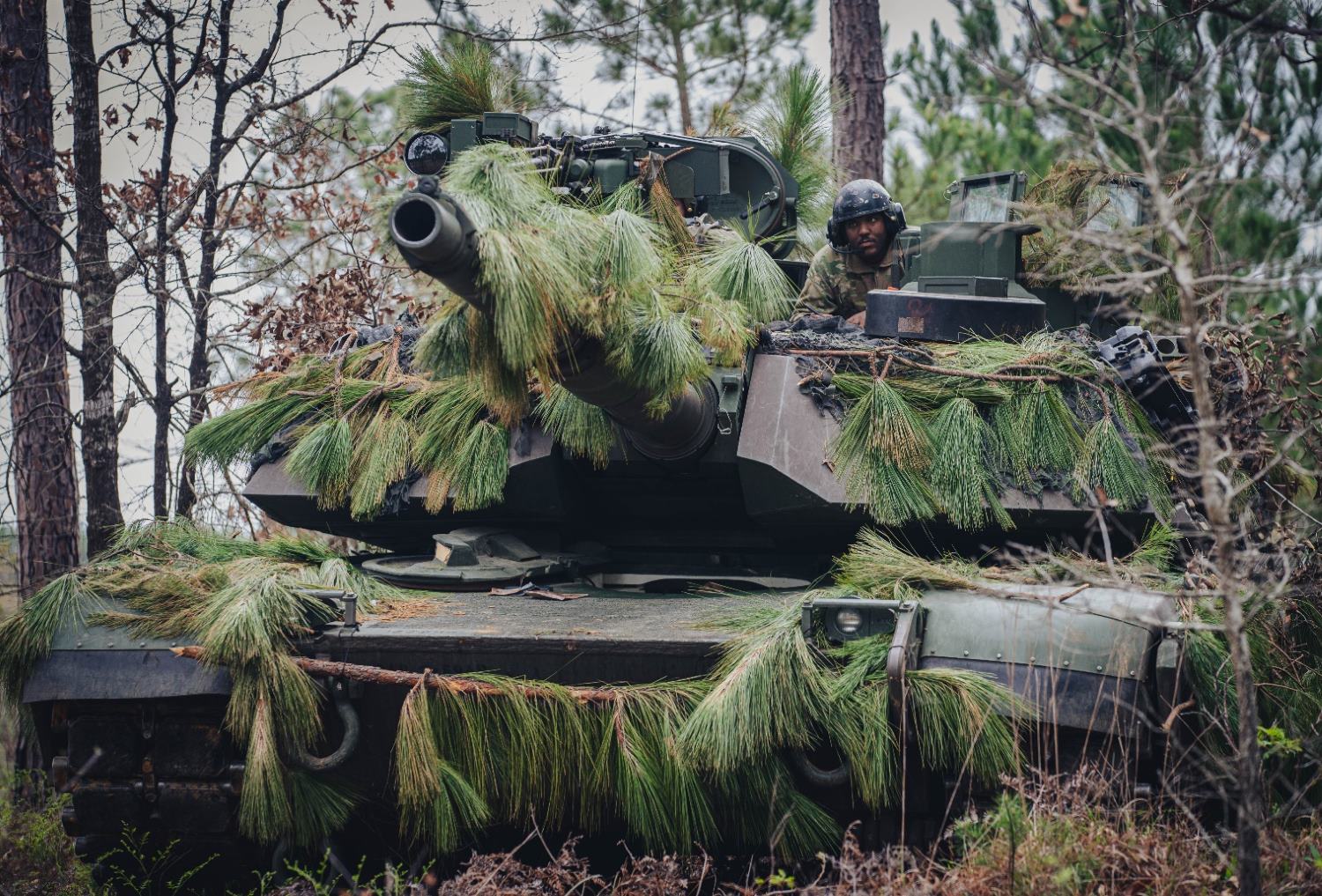 an M1 Abrams tank camouflaged with pine leaves