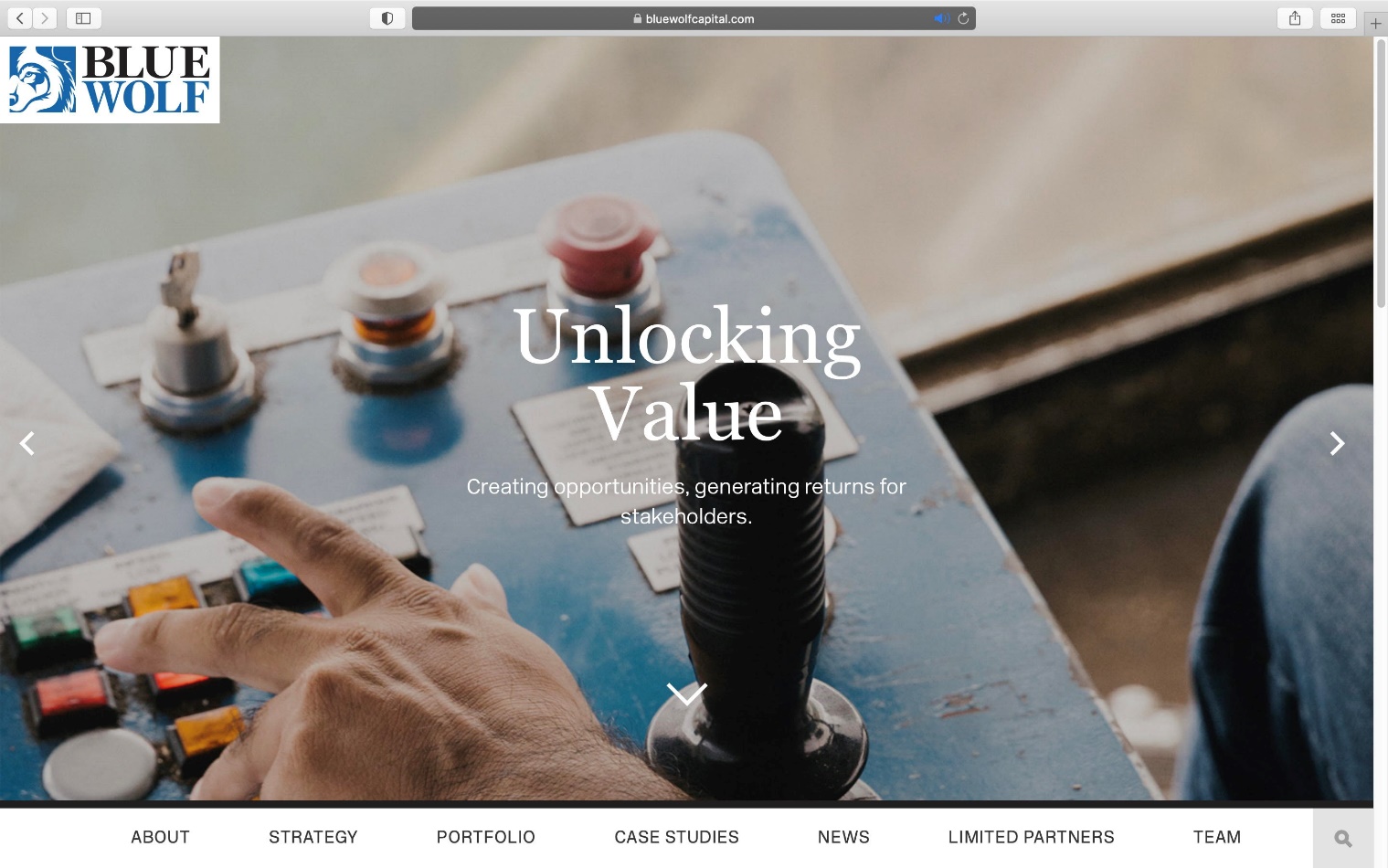 Blue Wolf website homepage