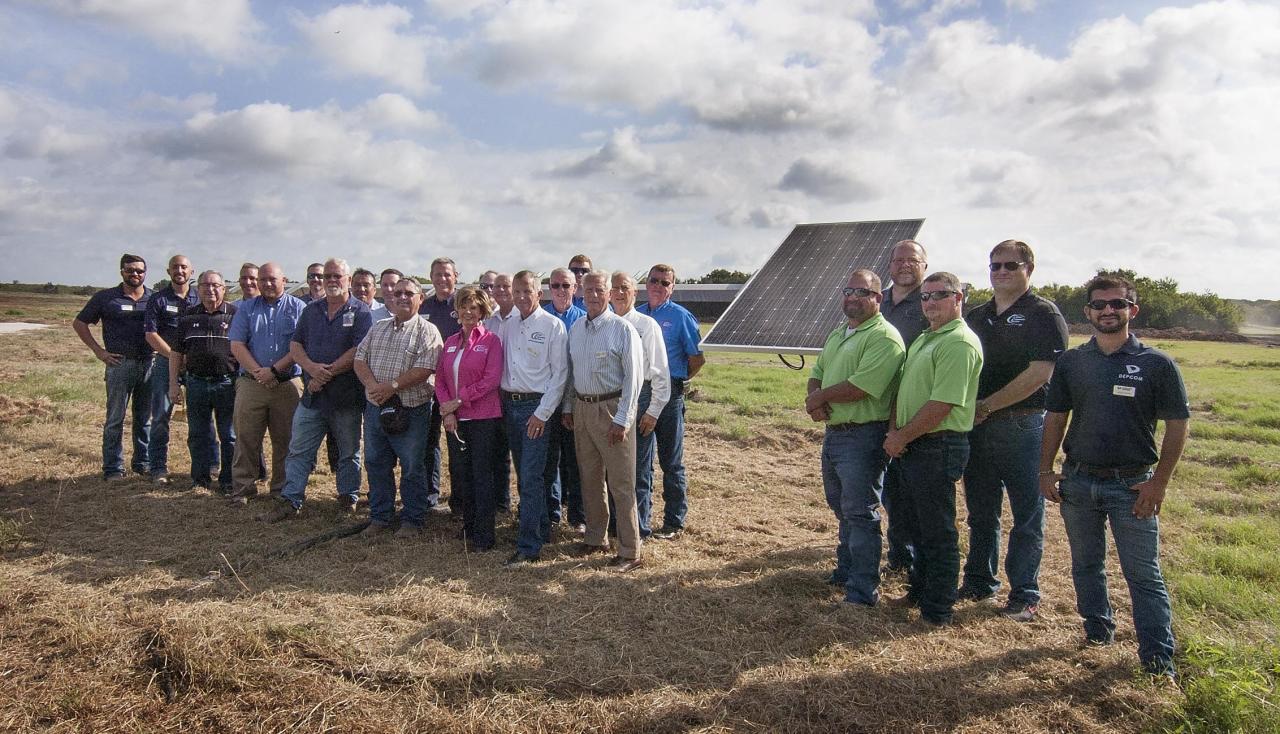 DEPCOM Power engineers and frontline staff inspect a solar farm