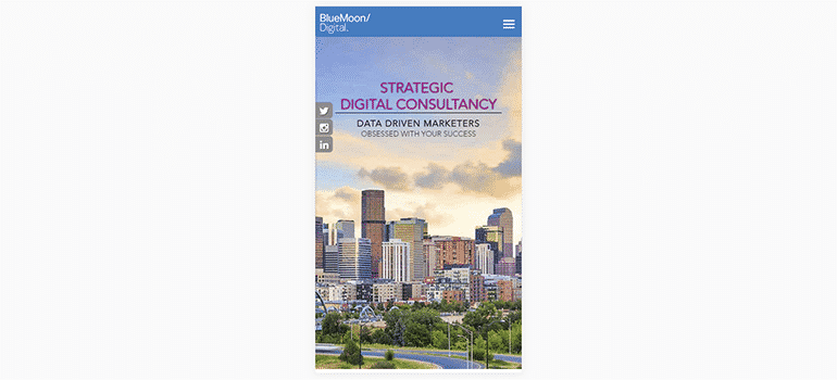 Blue Moon Digital, Inc.-Mobile 1