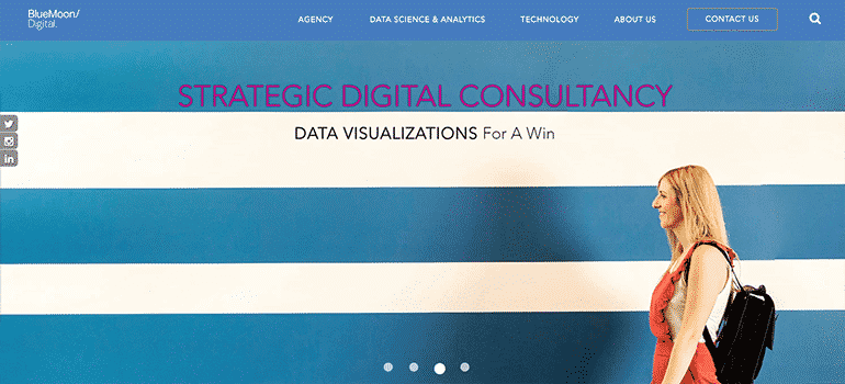 Blue Moon Digital, Inc.-Fullsite 1